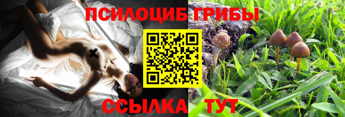 Псилоцибиновые грибы MAGIC MUSHROOMS  Галлюциногенные грибы ЛСД  Вход с VPN  Егорьевск 